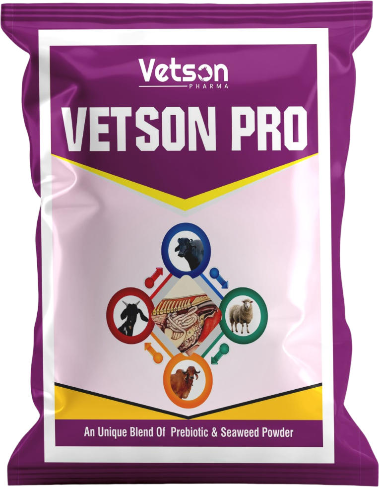Vetson Pro